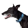 Lochie Greyhound Collar