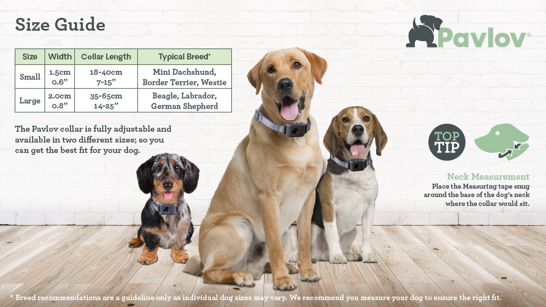 Anti barking collar for dogs discount