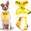 Adopt Me Vest Harness