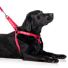Do Not Pet Strap Harness