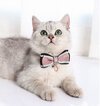 Cat Collar - Double Layer Bow Tie