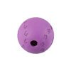 Entertaineze Treat Ball Large Dog Toy