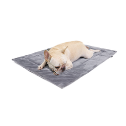 The Best Info on Pet Cooling Mats to Chill Out Your Pet - PD Insurance NZ