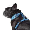 Lochie Mesh Harness 2.0