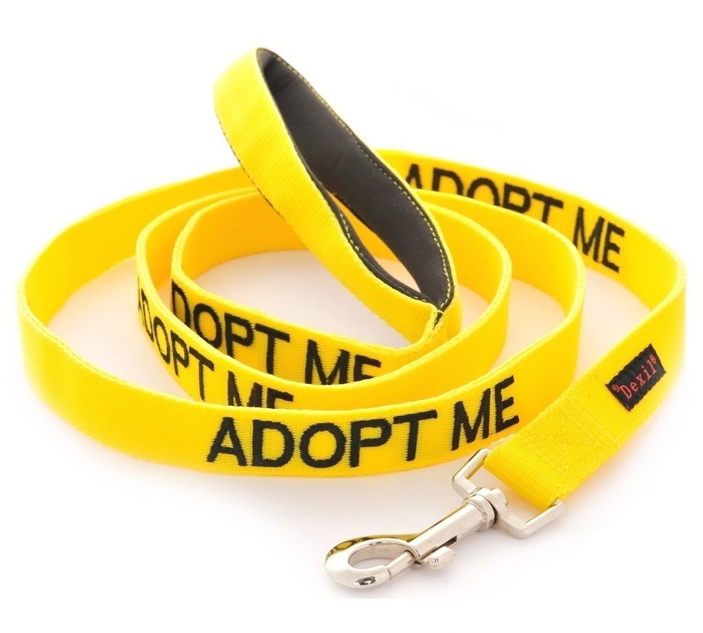 Adopt Me Lead DogCollars, Leads & HarnessesLeads Pet Shop