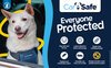 CarSafe Crash Tested Dog Harness