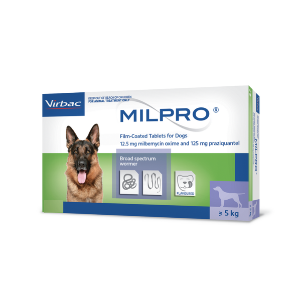 Milpro Worming Tablet for Dogs over 5kg- Single Tablet