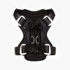 EzyDog Drive Harness