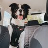 EzyDog Drive Harness