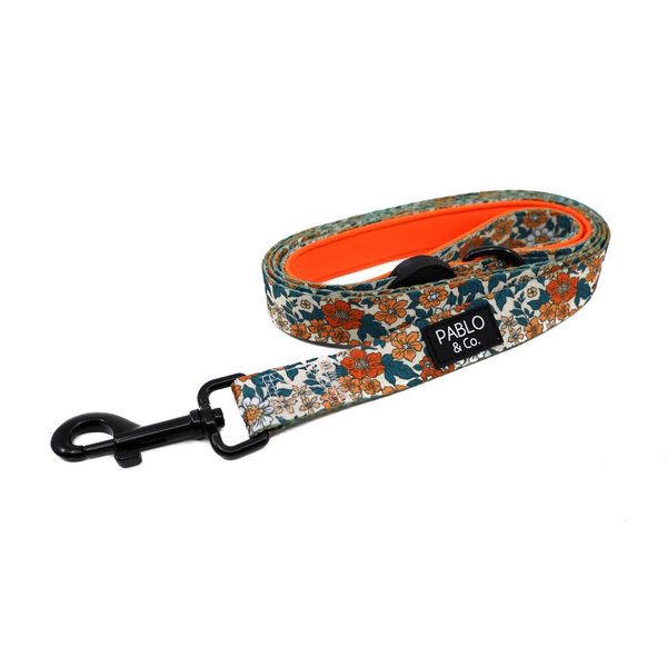 Wildflowers - Dog Leash