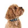 Star Wars Grogu - Dog Collar