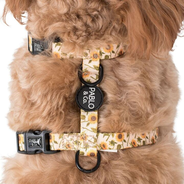 Dog Strap Harness - Sunflowers