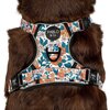 Wildflowers - No Pull Adventure Harness