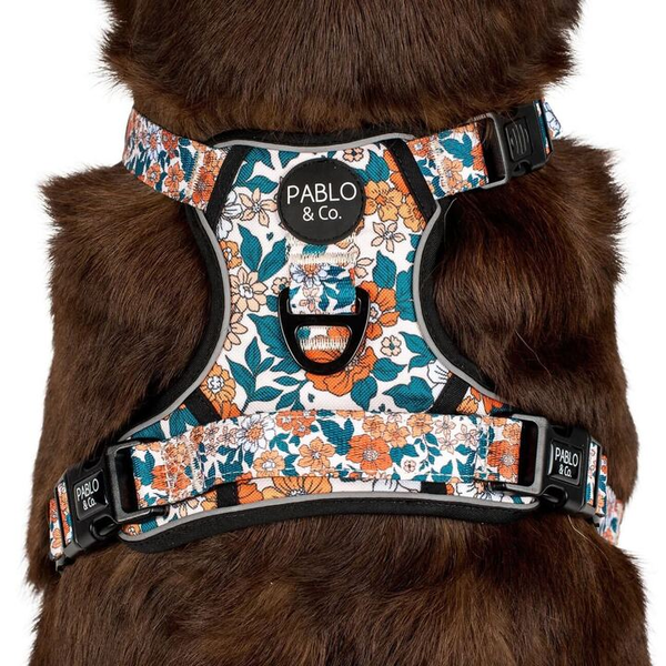 Wildflowers - No Pull Adventure Harness