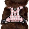 Chocolate Gingham - No Pull Adventure Harness