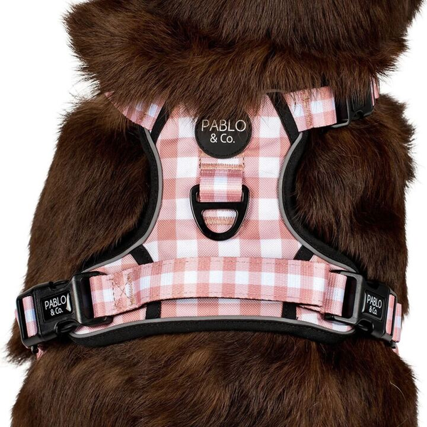 Chocolate Gingham - No Pull Adventure Harness