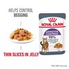 Appetite Control Cat Jelly
