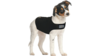 Zendog Compression Shirt