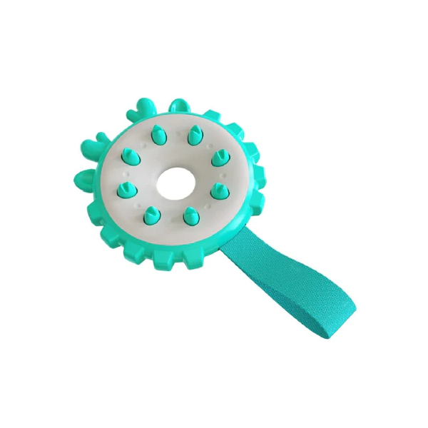 Frisbee Dental Toy
