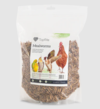 Dried Mealworms