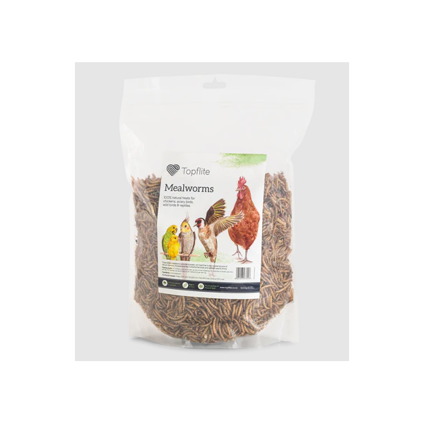 Dried Mealworms