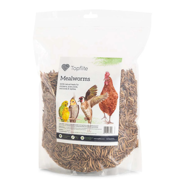 Dried Mealworms