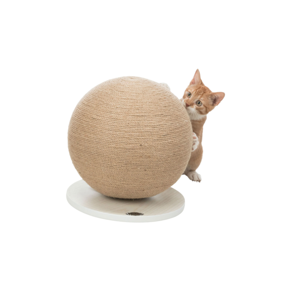 Scratching Globe 29cm