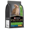 ProPlan Puppy Large Breed Chicken Dry Food
