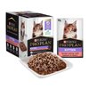 ProPlan Kitten Salmon Wet Food