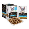 ProPlan Adult Cat Urinary Tract Health Chicken Wet Food