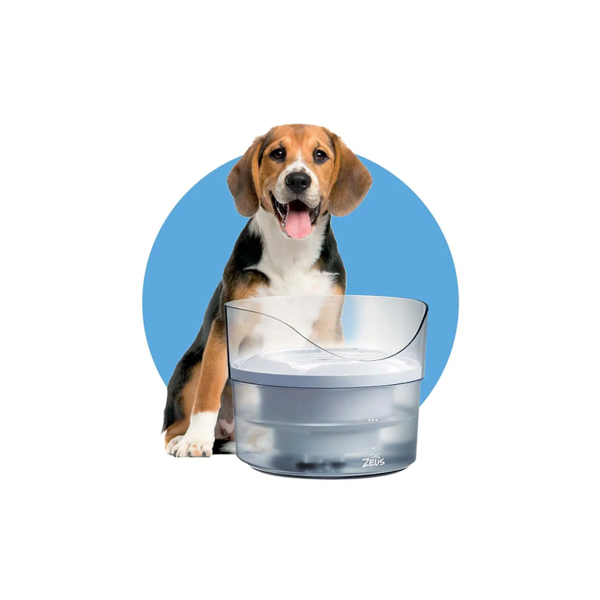 Zeus Fresh & Clear Fountain with Splash Guard 1.5L