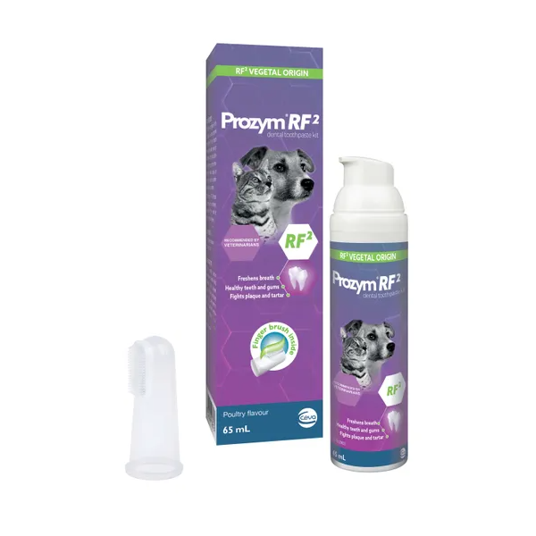 Prozym Toothpaste Kit 65ml