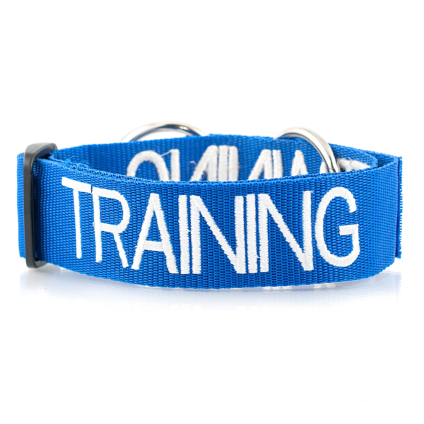 Training Dog Semi Slip Collar