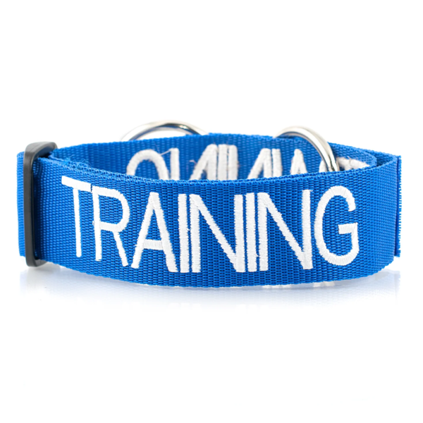 Training Dog Semi Slip Collar