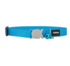 Red Dingo Cat Collar - Turquoise