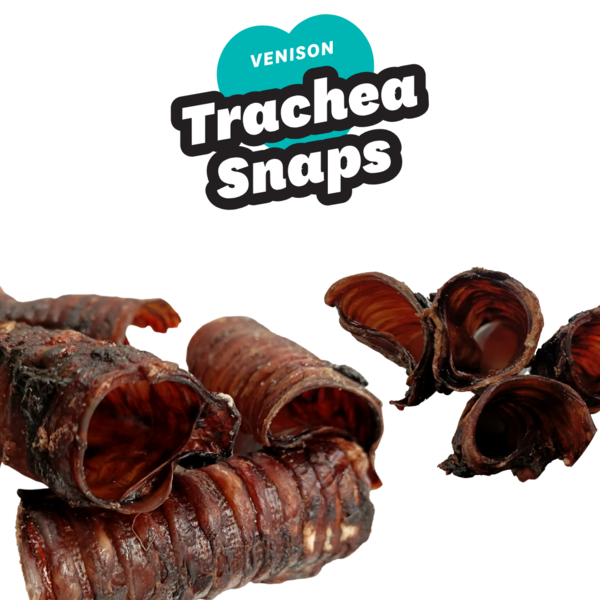 Venison Trachea Snaps 