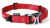 Ezydog Double Up Collar - DOG RESCUE PROJECT