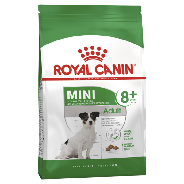 Mini Senior Dog 8+