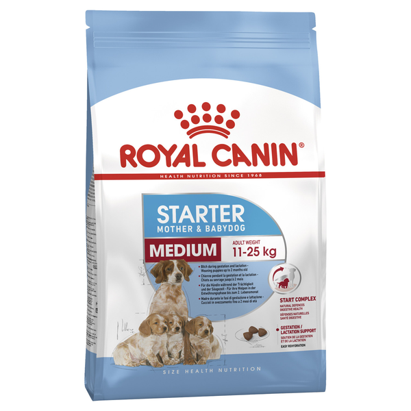 Medium Starter - Mother & Baby