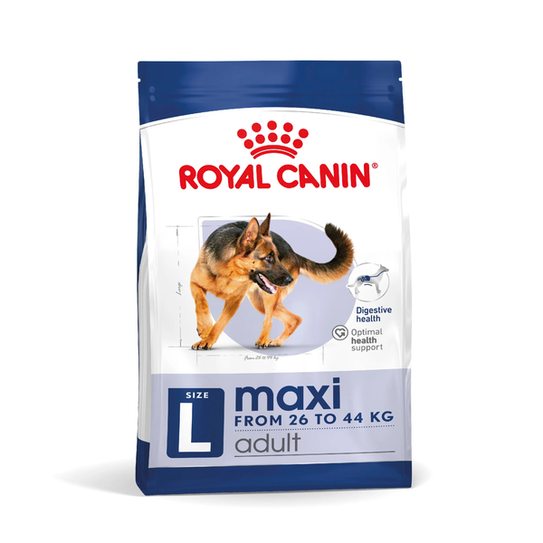 Maxi Adult Dog