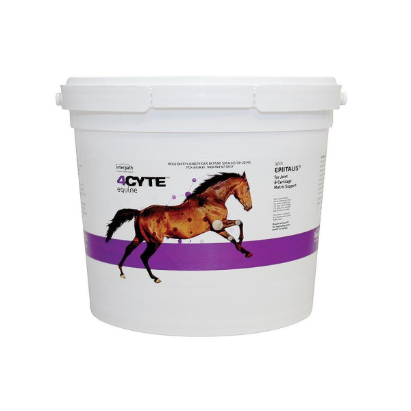 4CYTE Equine Granules 