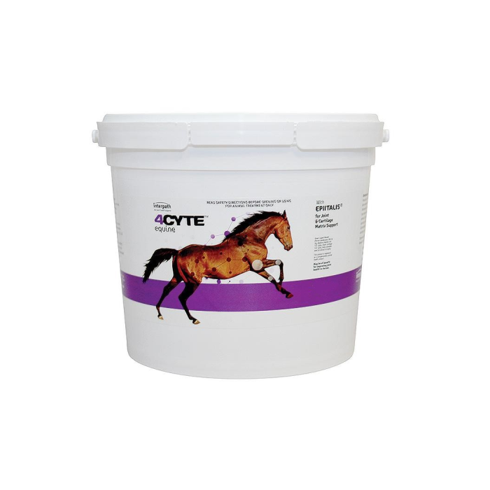4CYTE Equine Granules 