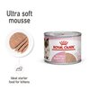Mother & Babycat Mousse 