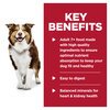 Science Diet Canine Senior 7+ Chicken Canned