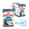 Urinary Care Cat Jelly Pouches