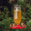 Nectar Feeder