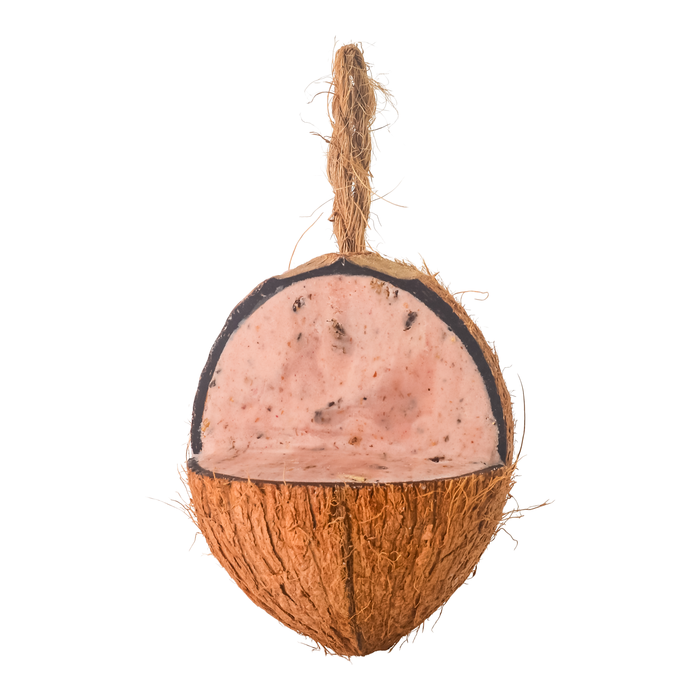 Wild Bird Bug & Berry Coconut Feeder - Limited Edition