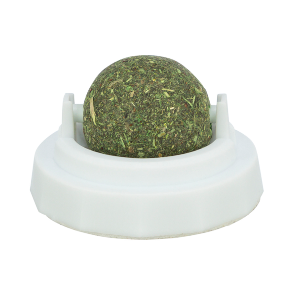 Catnip Ball with Adhesive Holder
