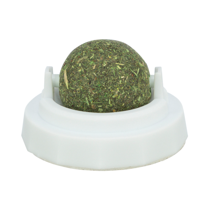 Catnip Ball with Adhesive Holder