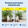 Petsafe SSSCAT Spray Deterrent